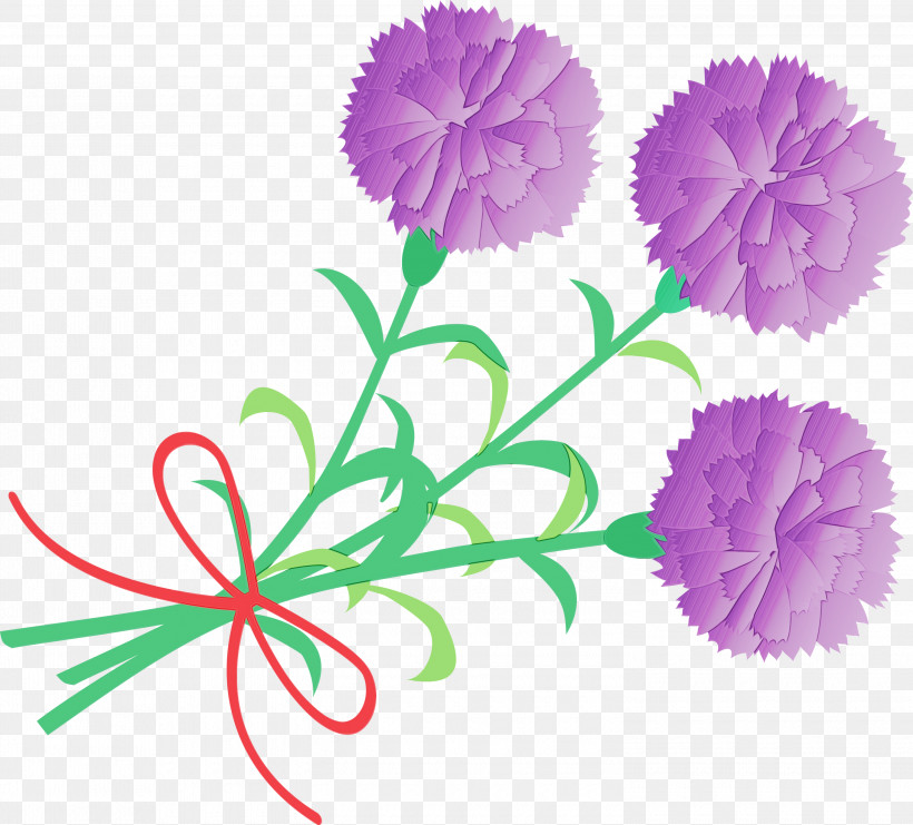 Flower Pink Plant Carnation Pom-pom, PNG, 3000x2713px, Mothers Day Carnation, Carnation, Cut Flowers, Dianthus, Flower Download Free