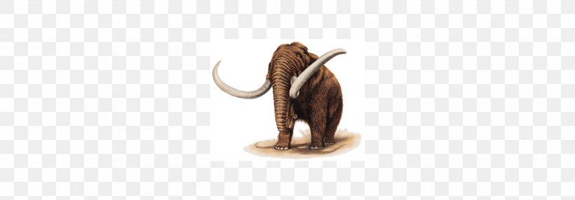 Indian Elephant Mammoth Wildlife Terrestrial Animal, PNG, 1880x656px, Indian Elephant, Animal, Animal Figure, Elephant, Elephants And Mammoths Download Free