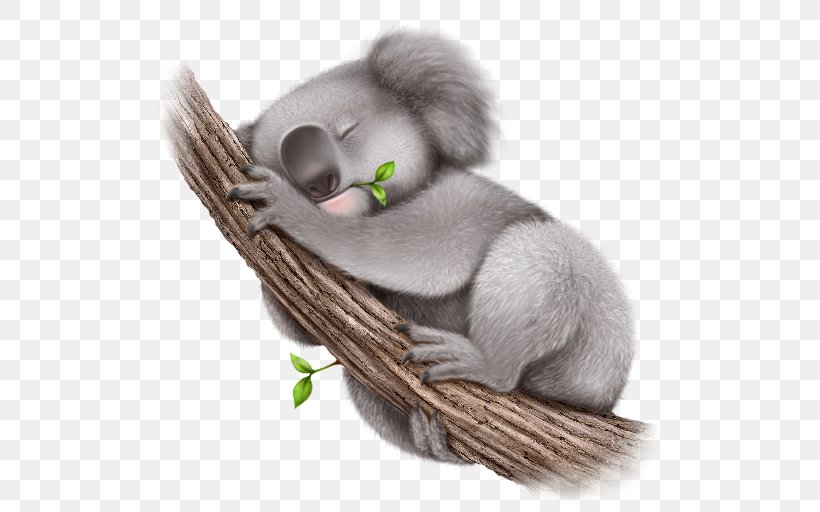 Koala Desktop Wallpaper, PNG, 512x512px, Koala, Cuteness, Fur, Mammal, Marsupial Download Free
