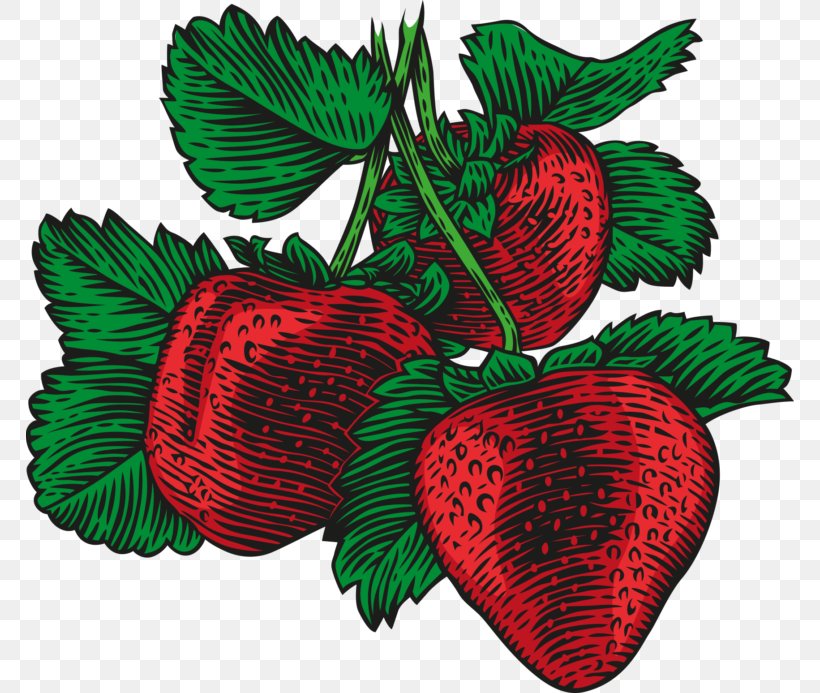Strawberry Vector Graphics Stock Photography Illustration Drawing, PNG, 768x693px, Strawberry, Accessory Fruit, Alpine Strawberry, Berries, Berry Download Free