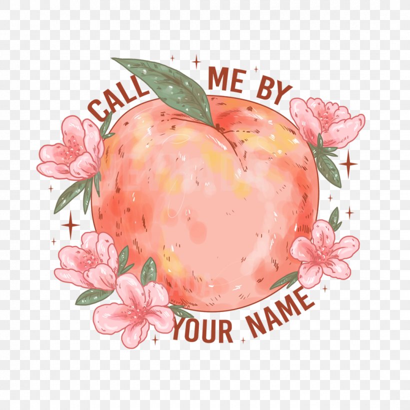 T-shirt YouTube Film AACTA Awards Art, PNG, 1080x1080px, Tshirt, Apple, Armie Hammer, Art, Call Me By Your Name Download Free
