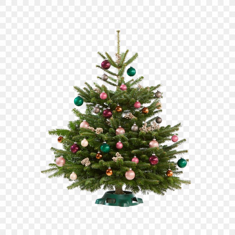 Christmas Tree Christmas Ornament Spruce Fir Pine, PNG, 1800x1800px, Christmas Tree, Christmas, Christmas Decoration, Christmas Ornament, Conifer Download Free