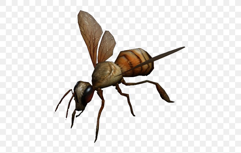 Fallout 3 Fallout: New Vegas Fallout 4 Van Buren Insect, PNG, 580x522px, Fallout 3, Ant, Arthropod, Asian Giant Hornet, Bee Download Free