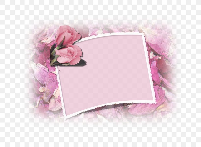 Petal Picture Frames Pink M, PNG, 800x600px, Petal, Flower, Picture Frame, Picture Frames, Pink Download Free