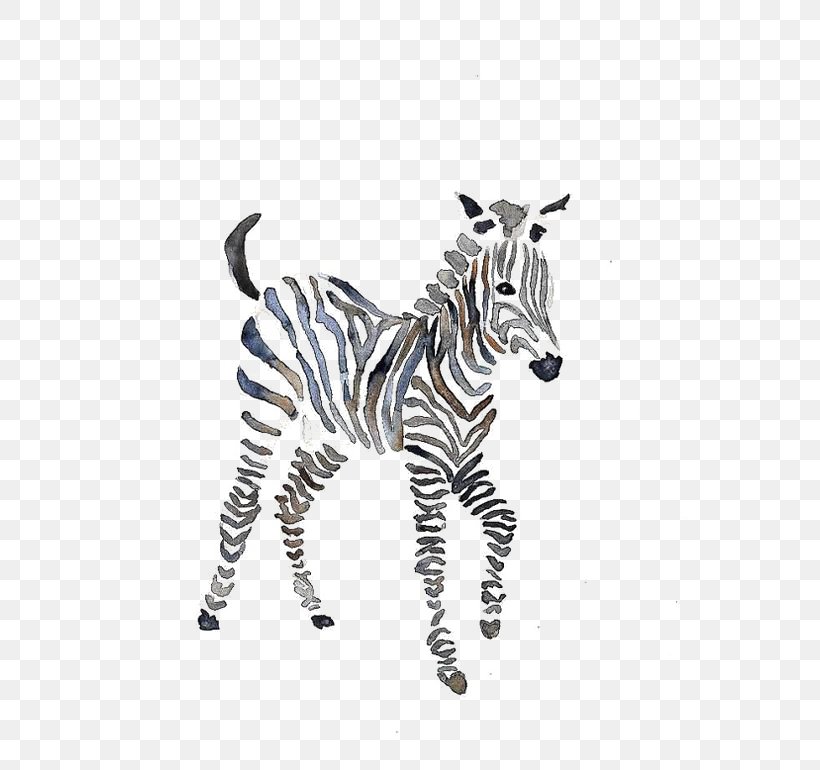 Quagga Zebra Watercolor Painting Okapi, PNG, 564x770px, Quagga, Animal, Animal Figure, Black And White, Drawing Download Free