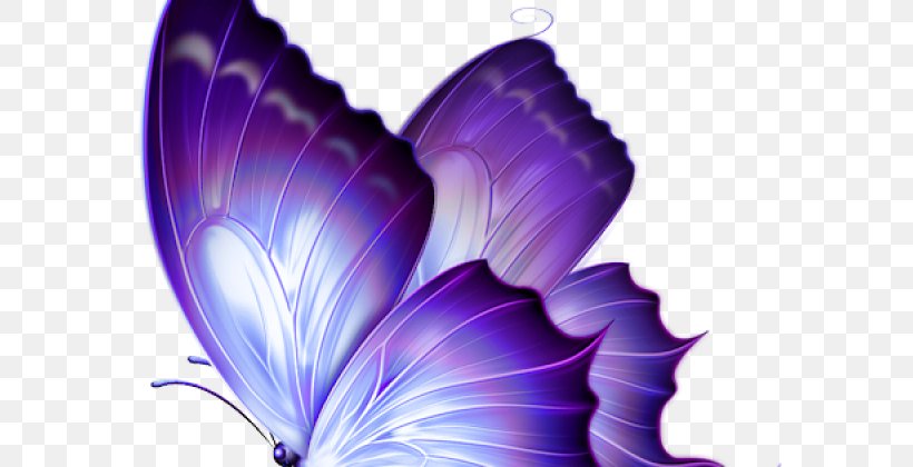 Butterfly Papilio Ulysses Clip Art, PNG, 640x420px, Butterfly, Art, Blue, Butterflies And Moths, Color Download Free