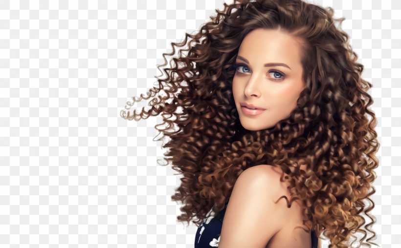Hair Hairstyle Ringlet Jheri Curl Eyebrow, PNG, 2540x1576px, Hair, Beauty, Black Hair, Brown, Eyebrow Download Free