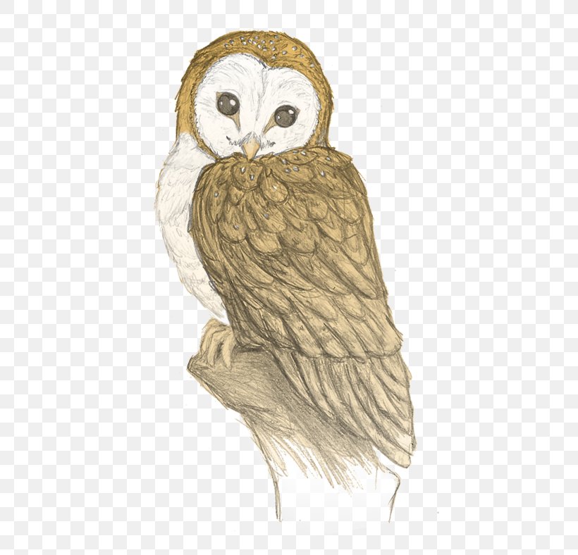 Owl How To Draw Drawing Sketch Pencil, PNG, 473x788px, Owl, Art, Barn Owl, Beak, Bird Download Free