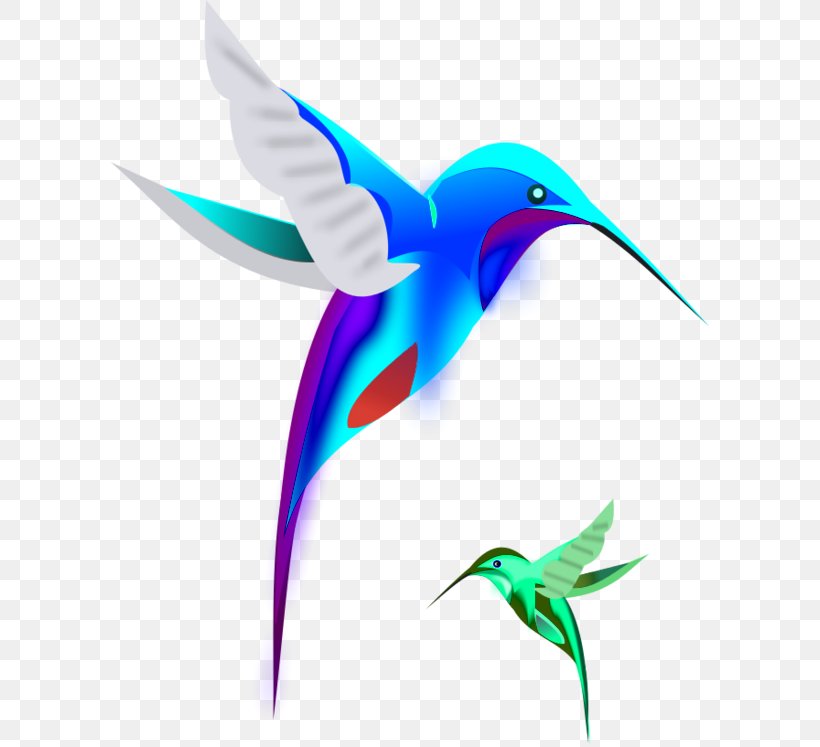 Hummingbird Cartoon Clip Art, PNG, 600x747px, Hummingbird, Animal, Beak, Bird, Cartoon Download Free