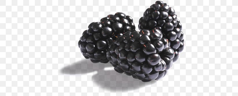 Boysenberry BlackBerry Pearl Raspberry, PNG, 500x332px, Boysenberry, Berry, Blackberry, Blackberry Pearl, Blueberry Download Free