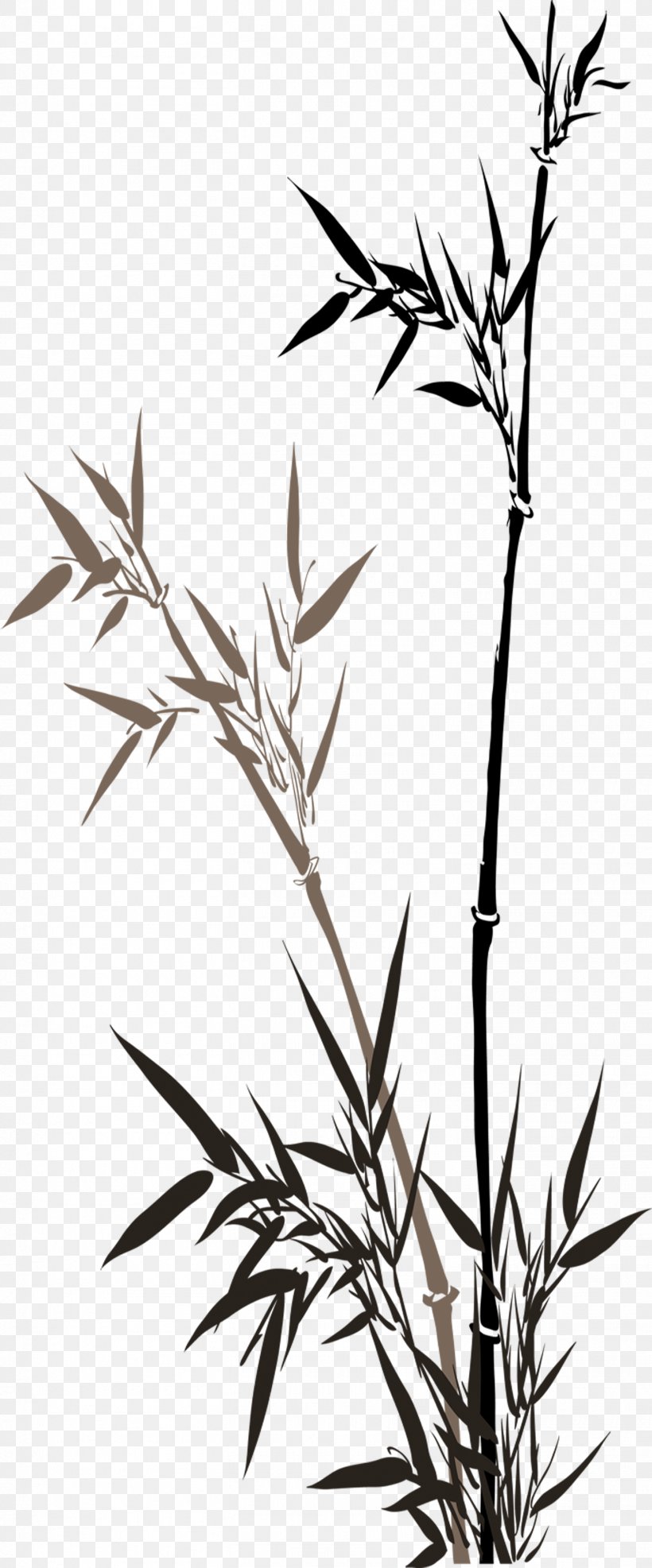 China Ink Wash Painting Bamboo, PNG, 1465x3526px, China, Art, Bamboo, Black And White, Branch Download Free