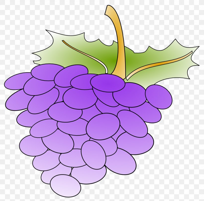 Common Grape Vine Grape Juice Clip Art, PNG, 1000x985px, Common Grape Vine, Berry, Flower, Flowering Plant, Food Download Free