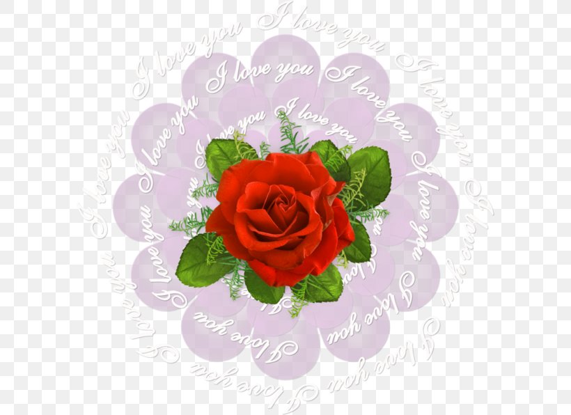 Garden Roses Cabbage Rose Cut Flowers Beach Rose, PNG, 600x596px, Garden Roses, Beach Rose, Cabbage Rose, Cut Flowers, English Download Free