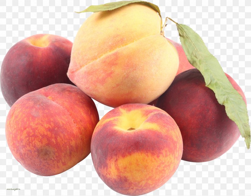 Nectarine Apricot Food Peach, PNG, 3891x3045px, Nectarine, Apple, Apricot, Food, Fruit Download Free