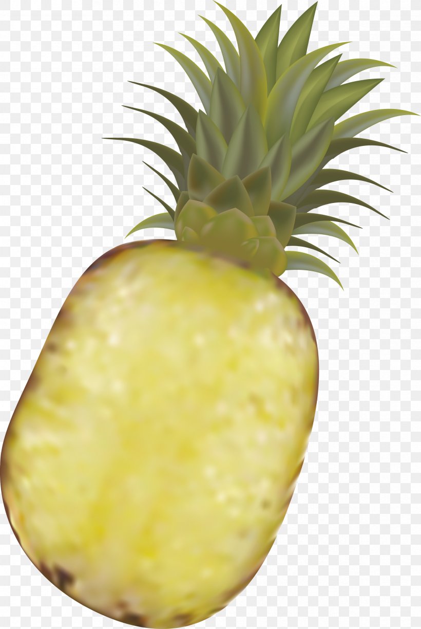 Pineapple Fruit Royalty-free, PNG, 2383x3558px, Pineapple, Ananas, Bromeliaceae, Cartoon, Drawing Download Free