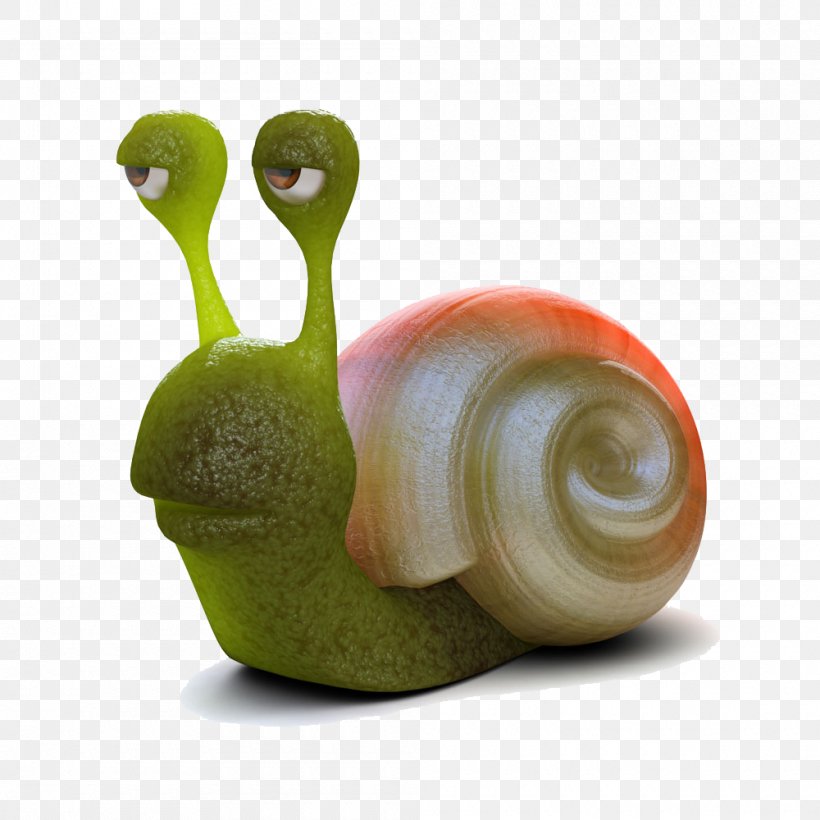 Snail Drawing Slug Photography Illustration, PNG, 1000x1000px, Snail, Drawing, Emerald Green Snail, Gastropod Shell, Invertebrate Download Free