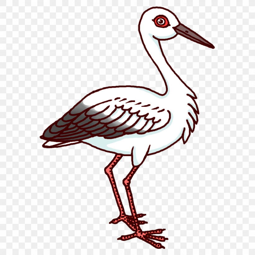 Birds White Stork Pelecaniformes Gull Crane, PNG, 1400x1400px, Birds, Beak, Ciconia, Crane, Gull Download Free