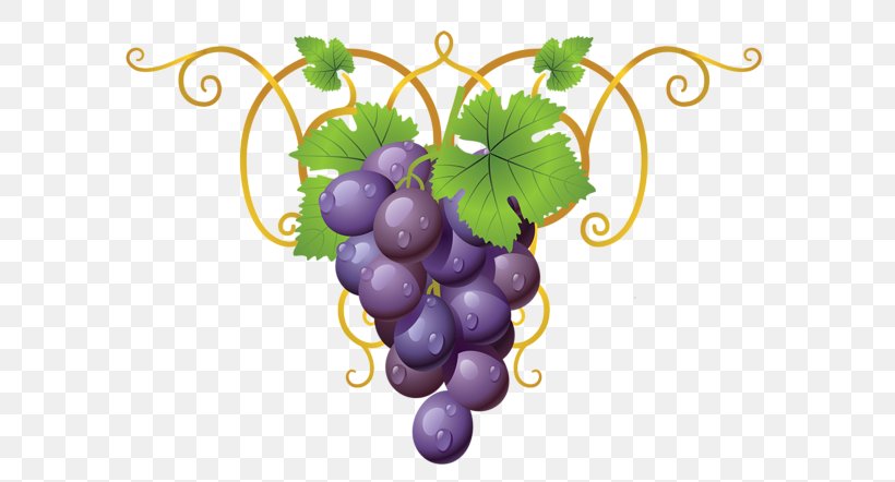 Common Grape Vine Wine Concord Grape, PNG, 600x442px, Common Grape Vine, Concord Grape, Flowering Plant, Food, Fruit Download Free