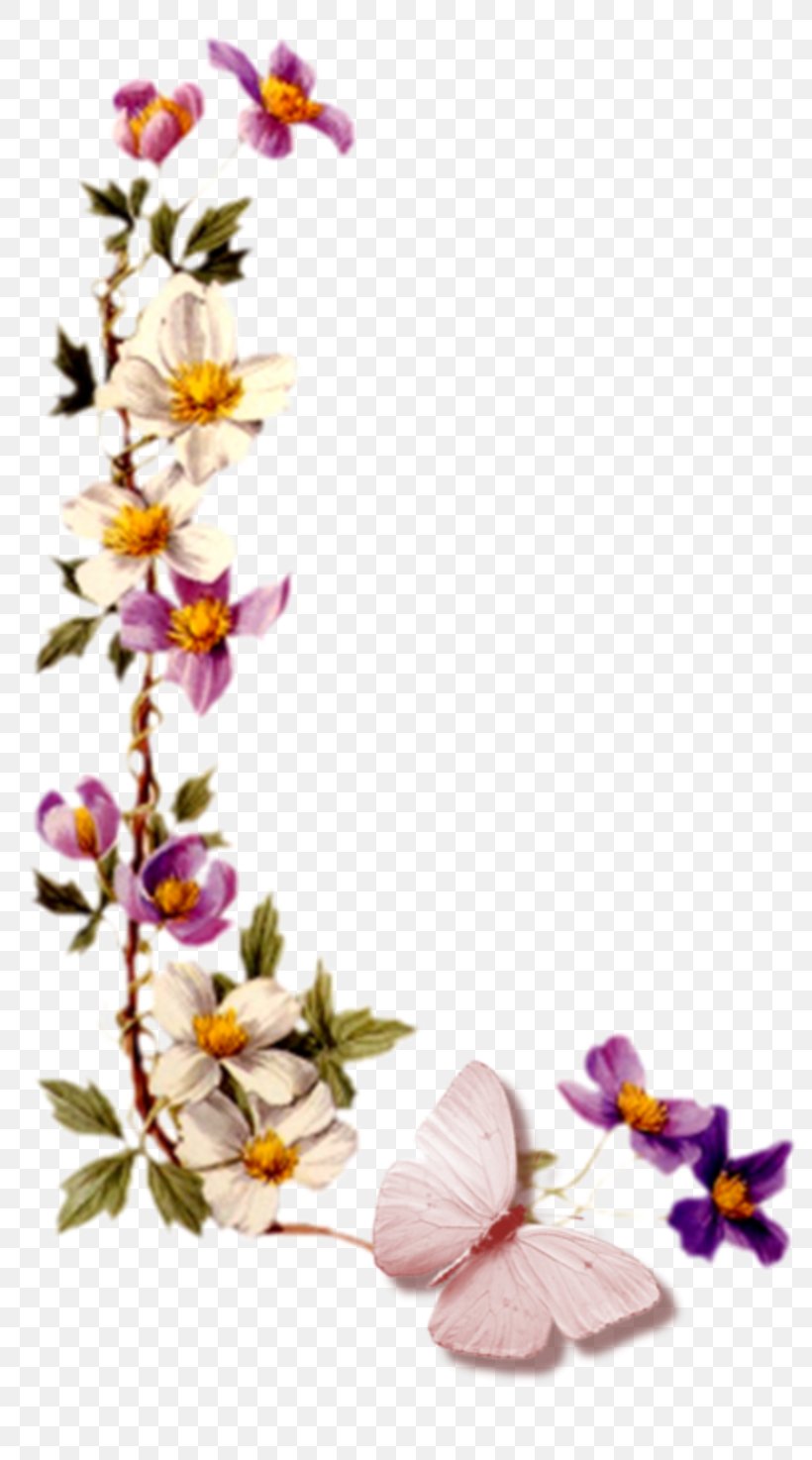 Desktop Wallpaper Flower, PNG, 800x1474px, Flower, Bit, Blog, Blossom, Branch Download Free