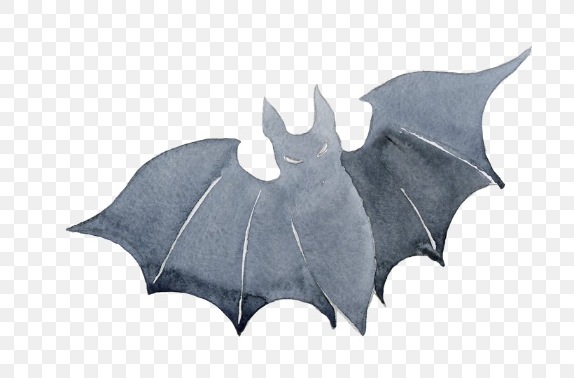 Bat Halloween Jack-o-lantern U7bc0u65e5, PNG, 700x540px, Bat, Black, Flight, Halloween, Jackolantern Download Free