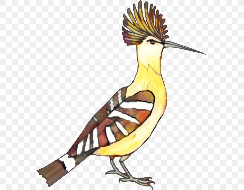 Beak Clip Art Illustration Fauna Feather, PNG, 573x640px, Beak, Bird, Coraciiformes, Eastern Meadowlark, Fauna Download Free