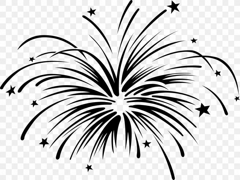 Clip Art Black And White Fireworks Image Drawing, PNG, 2400x1807px, Black And White, Black, Branch, Drawing, Firecracker Download Free