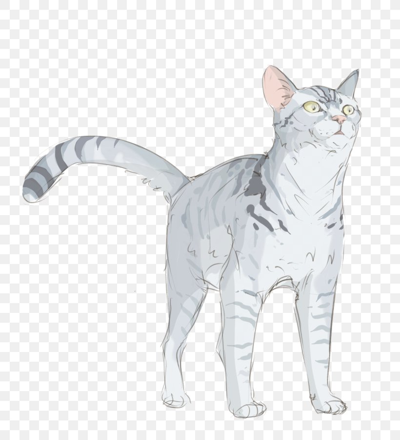 European Shorthair American Wirehair American Shorthair Whiskers Domestic Short-haired Cat, PNG, 800x900px, European Shorthair, American Shorthair, American Wirehair, Animal Figure, Brazilian Shorthair Download Free