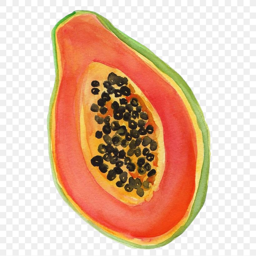 Papaya Watermelon Drawing Watercolor Painting, PNG, 564x821px, Papaya, Art, Drawing, Food, Fruit Download Free