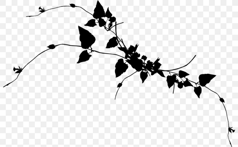 Plant Stem Silhouette Line Leaf Font, PNG, 800x508px, Plant Stem, Black, Blackandwhite, Botany, Branch Download Free