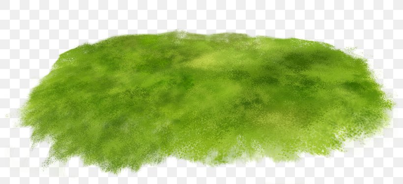 Data Compression Lawn Meadow Clip Art, PNG, 800x374px, Data Compression, Collage, Data, Glade, Grass Download Free