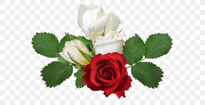 Clip Art Rose Image Flower, PNG, 600x419px, Rose, Cut Flowers, Floral Design, Floribunda, Floristry Download Free