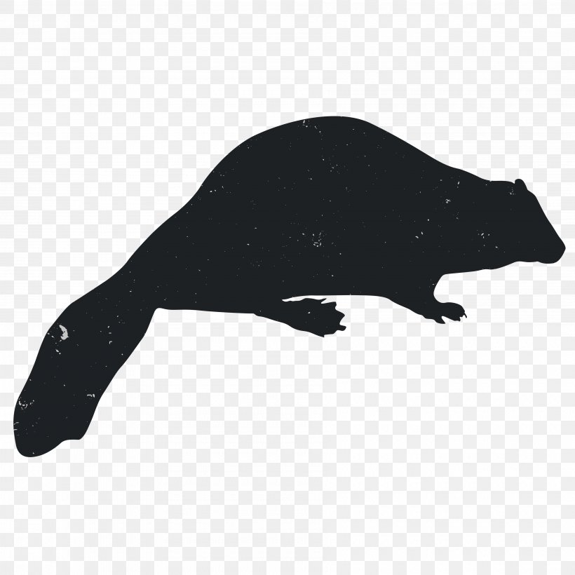 Silhouette Rat Animal Carnivora Black, PNG, 3600x3600px, Silhouette, Animal, Black, Black And White, Carnivora Download Free