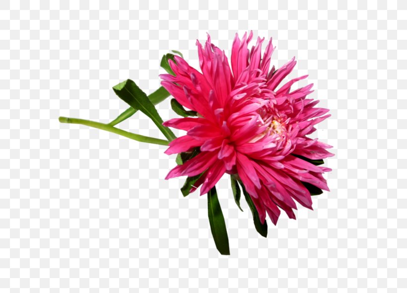 Artificial Flower, PNG, 800x590px, Flower, Artificial Flower, Aster, China Aster, Cut Flowers Download Free