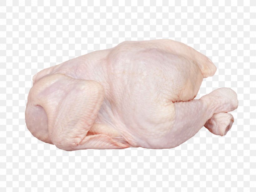 Pink Nose Chicken Breast Chicken Chicken Meat, PNG, 866x650px, Pink, Chicken, Chicken Breast, Chicken Meat, Chicken Thighs Download Free