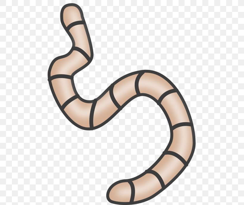 Worm Clip Art Image Free Content, PNG, 500x689px, Worm, Earthworm, Reptile, Royaltyfree Download Free