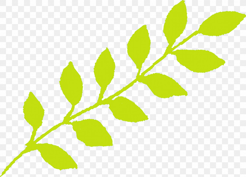 Leaf Green Plant Flower Branch, PNG, 3000x2156px, Watercolor Leaf, Branch, Flower, Green, Leaf Download Free