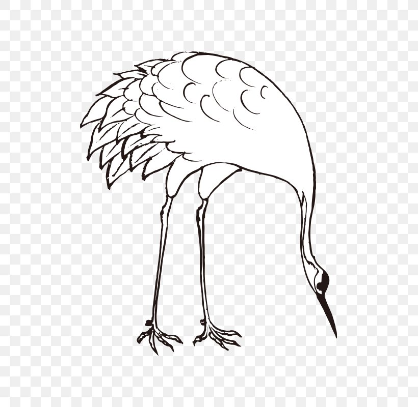 Mute Swan Tundra Swan Bird, PNG, 800x800px, Mute Swan, Animal, Art, Beak, Bird Download Free