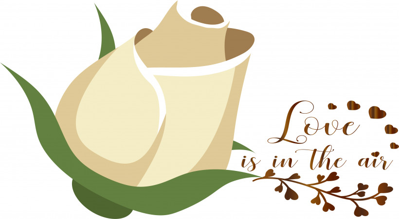 Coffee Cup, PNG, 3558x1959px, Flower, Coffee, Coffee Cup, Commodity, Cup Download Free