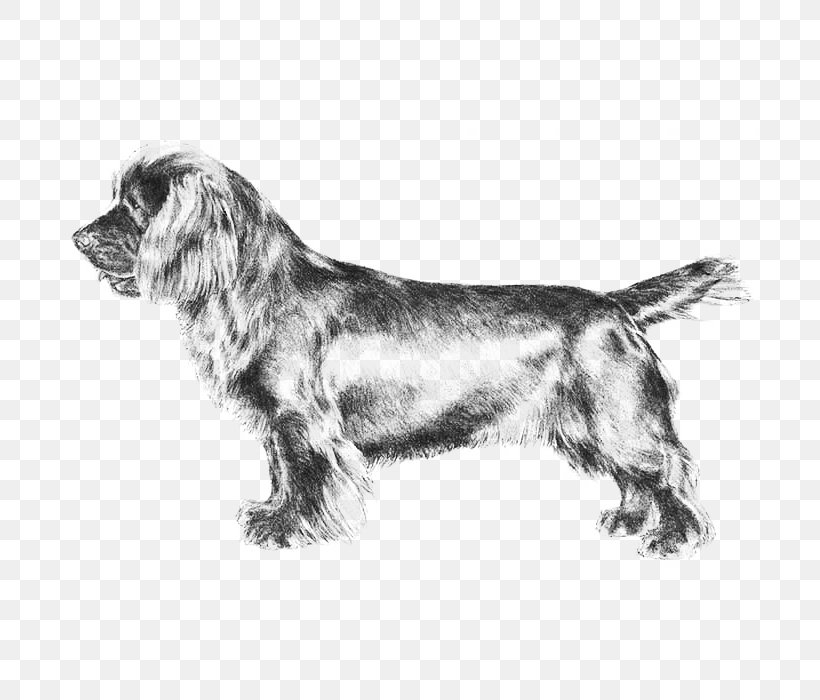 Field Spaniel Sussex Spaniel Welsh Springer Spaniel English Springer Spaniel Russian Spaniel, PNG, 700x700px, Field Spaniel, American Kennel Club, Black And White, Breed, Breed Standard Download Free