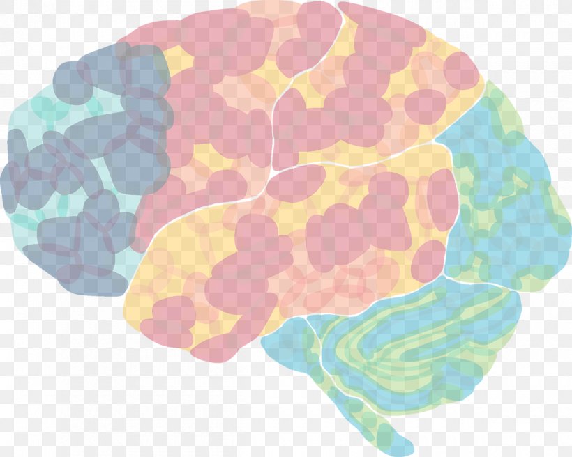 Integrative Neuroscience Frontiers Media Scientific Journal Brain, PNG, 1200x961px, Watercolor, Cartoon, Flower, Frame, Heart Download Free