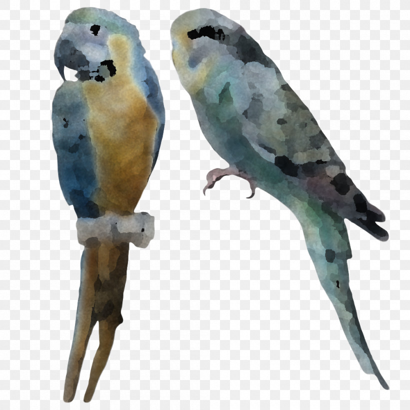 Lovebird, PNG, 1000x1000px, Bird, Animal Figure, Beak, Bird Toy, Budgie Download Free