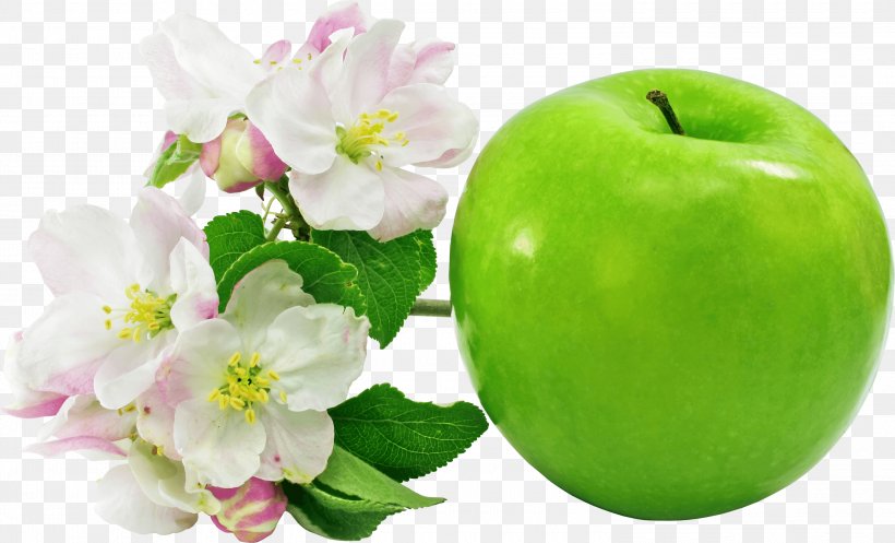 Apple Flower Fruit Clip Art, PNG, 3000x1819px, Apple, Apples, Diet Food, Flower, Food Download Free