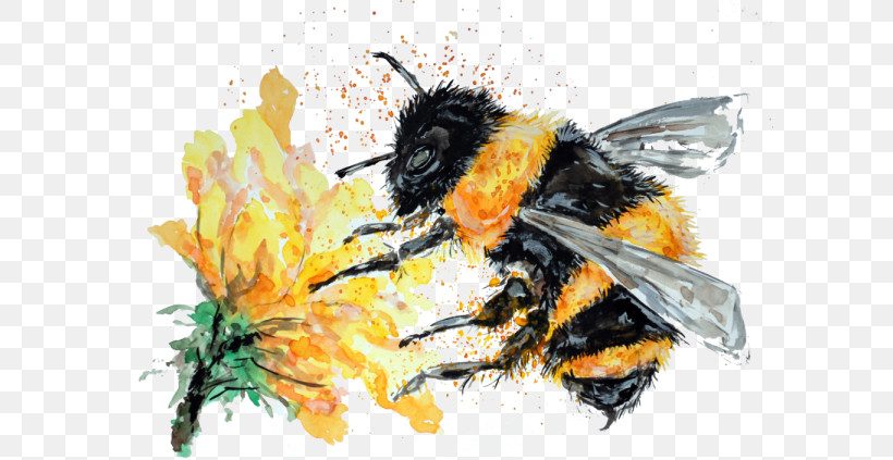 Bumblebee, PNG, 600x423px, Bumblebee, Bee, Blowflies, Carpenter Bee, Fly Download Free