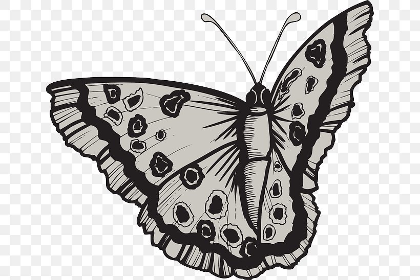 Monarch Butterfly Paper Insect Illustration, PNG, 640x548px, Monarch Butterfly, Adhesive, Antenna, Arthropod, Black And White Download Free