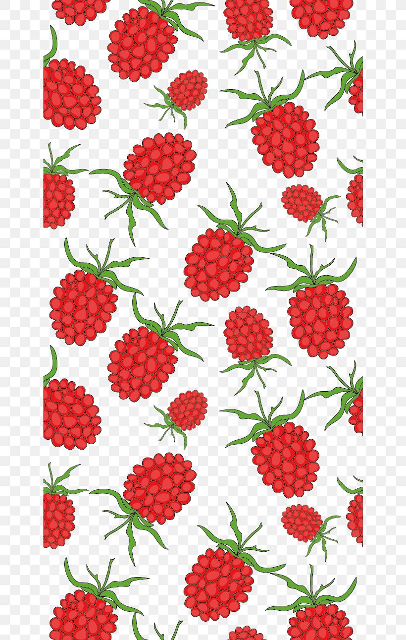 Red Raspberry, PNG, 646x1291px, Raspberry, Berry, Dahlia, Drawing, Floral Design Download Free