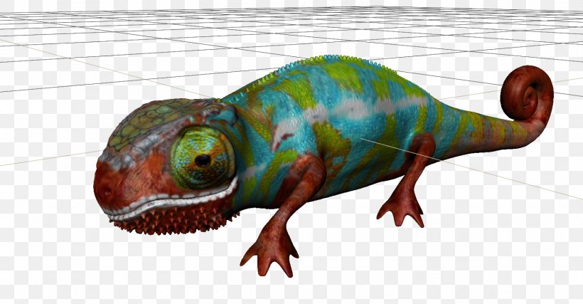Chameleons Iguanas Fauna Terrestrial Animal, PNG, 1556x811px, Chameleons, Animal, Chameleon, Fauna, Iguanas Download Free
