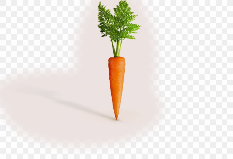 Flowerpot, PNG, 960x655px, Flowerpot, Carrot, Food, Plant Stem, Vegetable Download Free
