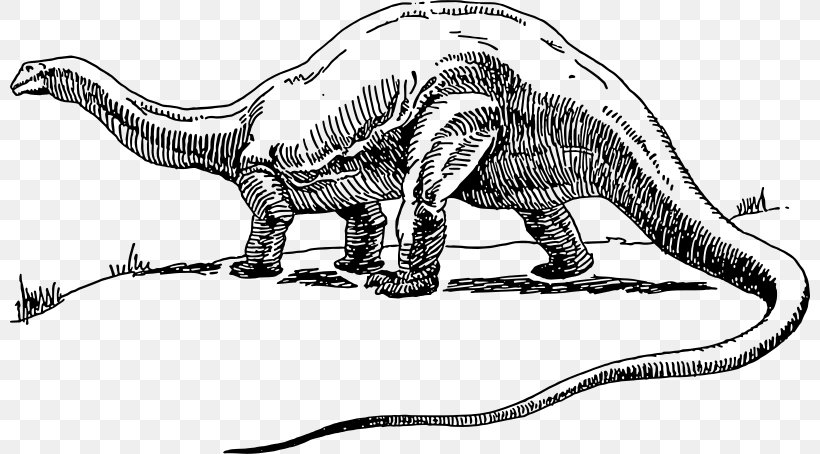 Apatosaurus Brontosaurus Tyrannosaurus Stegosaurus Triceratops, PNG, 800x454px, Apatosaurus, Animal Figure, Artwork, Black And White, Brachiosaurus Download Free