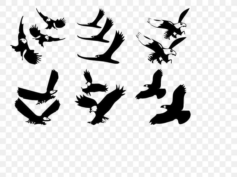 Beak Bird Of Prey Clip Art Fauna, PNG, 1600x1200px, Beak, Bird, Bird Of Prey, Black And White, Calendar Download Free