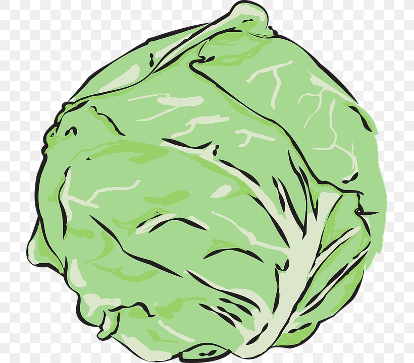 Cabbage Vegetable Lettuce Sandwich Kale, PNG, 715x720px, Cabbage, Brassica Oleracea, Carrot, Carrot Juice, Cauliflower Download Free